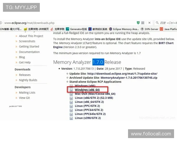 竞博体育登录线路常见问题及快速解决方案，保障您的顺畅登录体验